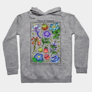 Flora of Sumeru Hoodie